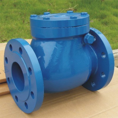 Cast Iron Check Valve